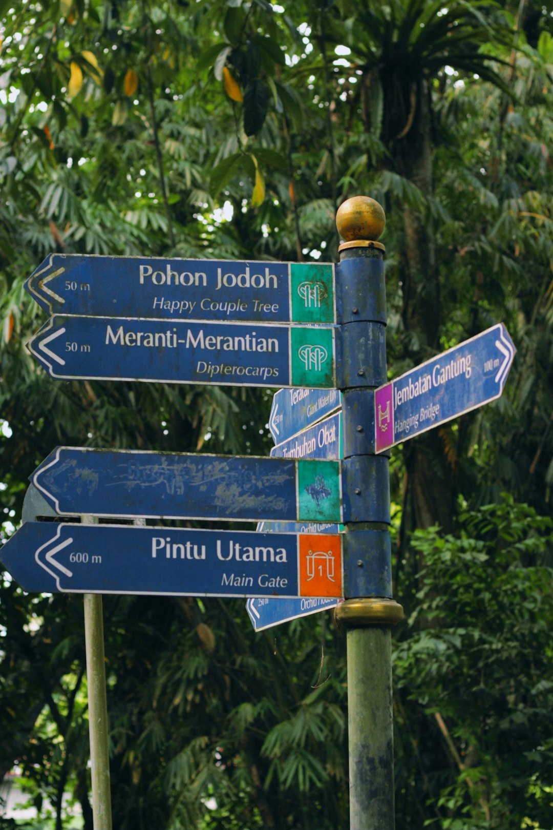 Solo travel
